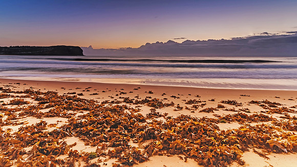 Dawn Seascape and Seaweed on the Beach