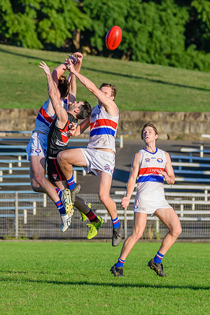 Rd 6 MPD - UNSW ES v North Shore - 14 May 2022