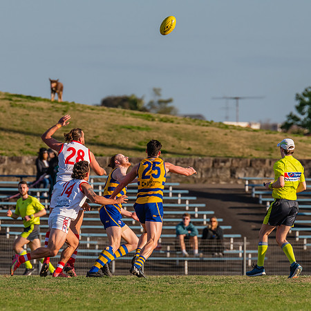 MPD Minor Semi Final - Sydney University v St George - 28 August