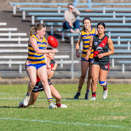 WPD Minor Semi Final - Sydney University v North Shore Bombers - 14 August 2022