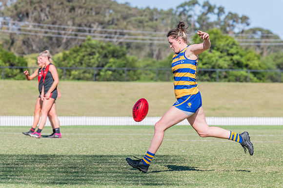 WPD Elimination Final - North Shore v Sydney Uni - 1 September 2