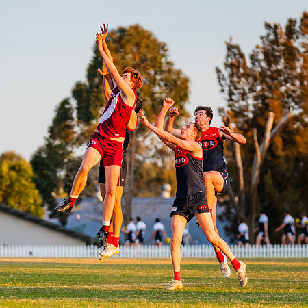 MPD Preliminary Final - Pennant Hills v Manly-Warringah - 14 Sep