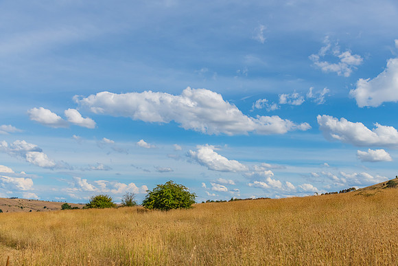Late afternoon Summer views with clouds over the rural land