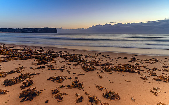 Dawn Seascape and Seaweed on the Beach