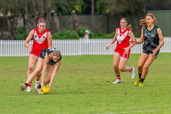 Rd 7 WPD - St George v UTS - 25 May 2024