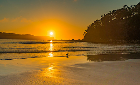 Sunrise Seascape