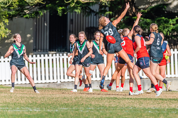 Rd 11 WPD - UTS v Pennant Hills - 25 June 2022