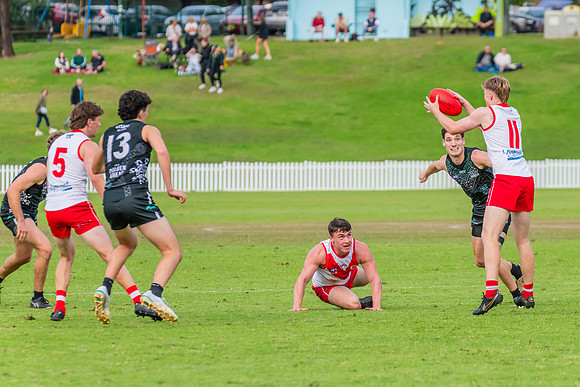 Rd 7 MPD - St George v UTS - 25 May 2024