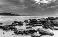 Monochrome