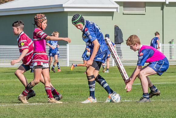 Semi Finals - Under 12s Blayney v Bloomfield - 24 Aug 2024