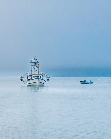 One foggy morning over the bay