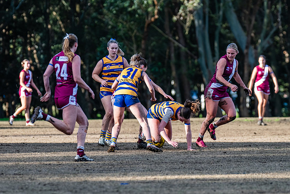 Rd 17 WPD - Manly Warringah v Sydney Uni - 16 August 2025