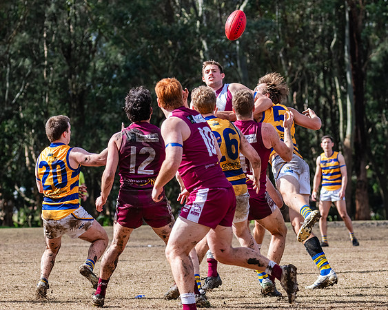 Rd 17 MPD - Manly Warringah v Sydney Uni - 16 August 2025