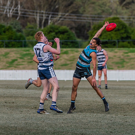 Platinum Div Preliminary Final - Southern Power v Camden Cats -