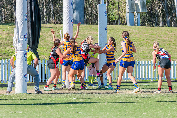 WPD Elimination Final - North Shore v Sydney Uni - 1 September 2