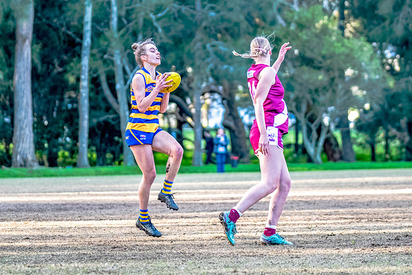 Rd 17 WPD - Manly Warringah v Sydney Uni - 16 August 2025
