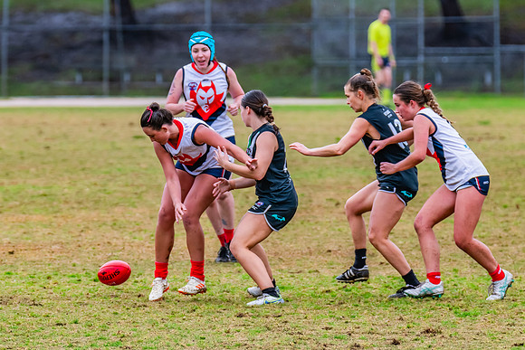 Rd 6 WPD - UTS v Pennant Hills - 11 May 2024
