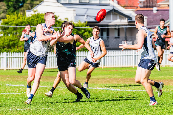 Rd 8 MPD - UTS v SWS - 31 May 2025