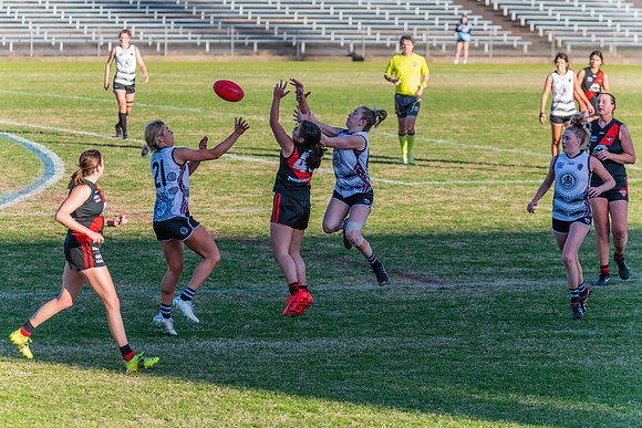 WPD Elimination Final - North Shore v Inner West - 7 August 2022