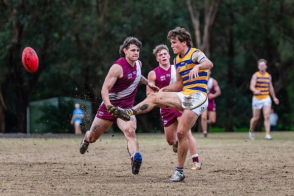 Rd 17 MPD - Manly Warringah v Sydney Uni - 16 August 2025