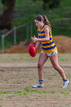 Rd 14 WPD - Pennant Hills v Sydney Uni - 16 July 2022