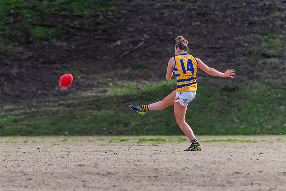 Rd 14 WPD - Pennant Hills v Sydney Uni - 16 July 2022