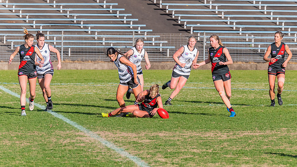 WPD Elimination Final - North Shore v Inner West - 7 August 2022