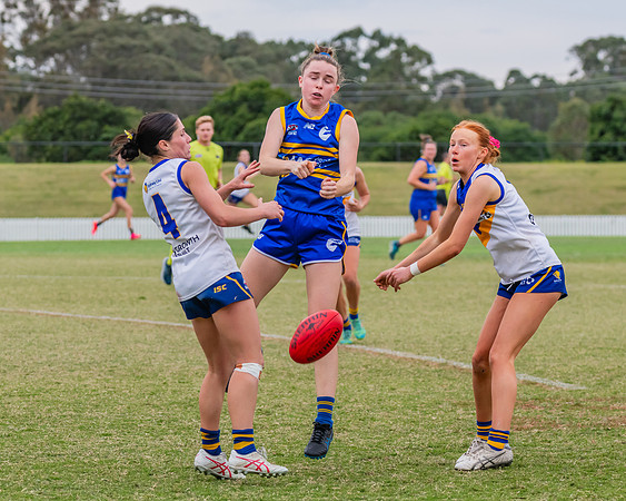 WPD Semi Final - Parramatta v Sydney Uni - 8 September 2024