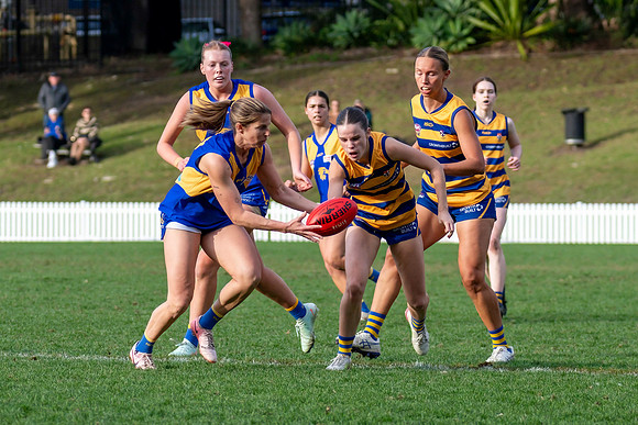 Rd 12 WPD - Sydney Uni v East Coast - 5 July 2025
