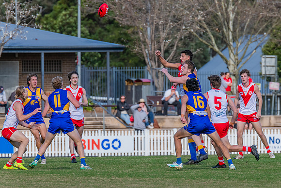 Rd 17 MPD - East Coast v St George - 17 August 2024
