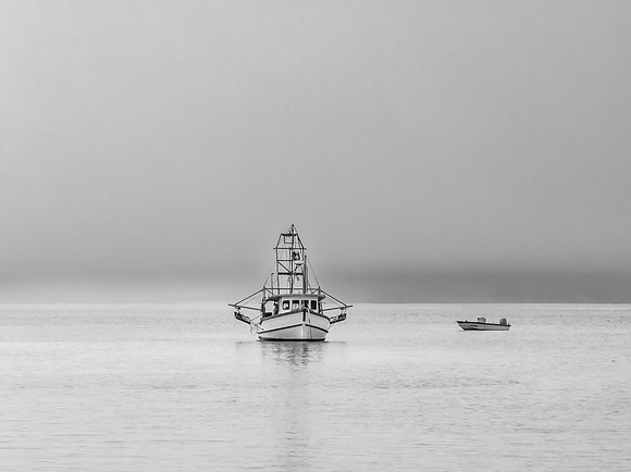 Boats in the fog in black and white