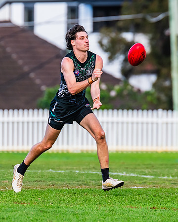 Rd 8 MPD - UTS v SWS - 31 May 2025