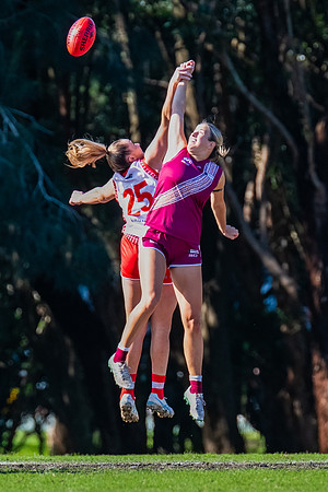 Rd 6 WPD - St George v Manly Warringah - 17 May 2025