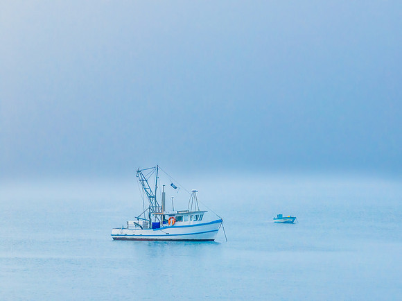 One foggy morning over the bay