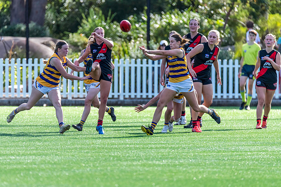 Rd 3 WPD - North Shore v Sydney Uni - 23 April 2022