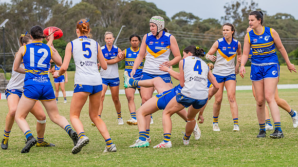 WPD Semi Final - Parramatta v Sydney Uni - 8 September 2024