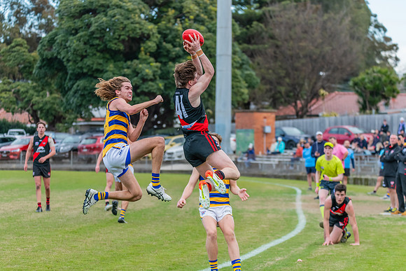 MPD Qualifying Final - North Shore v Sydney University - 20 Augu