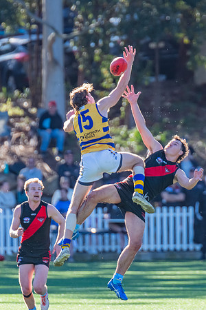 Rd 15 MPD - North Shore v Sydney Uni - 3 August 2024