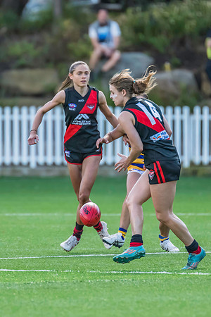 Rd 3 WPD - North Shore v Sydney Uni - 23 April 2022