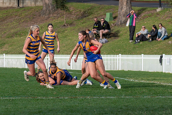 Rd 12 WPD - Sydney Uni v East Coast - 5 July 2025