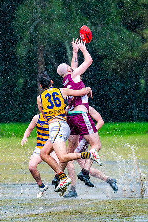 Rd 10 MPD - Manly Warringah v Sydney Uni - 22 June 2024