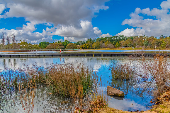 Winter at Lake Canobolas