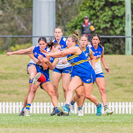 WPD Semi Final - Parramatta v Sydney Uni - 8 September 2024