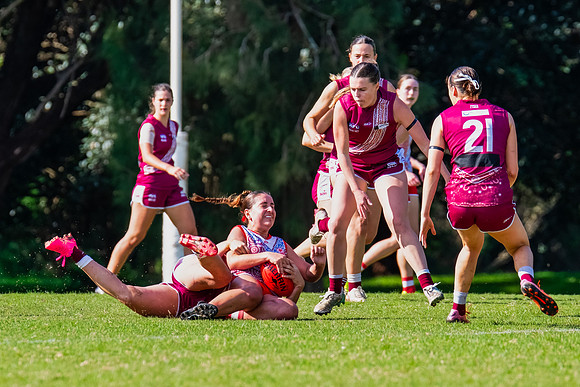 Rd 6 WPD - St George v Manly Warringah - 17 May 2025