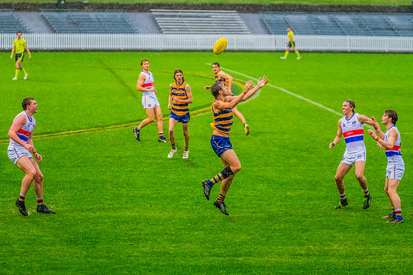 Rd 8 MPD - UNSW-ES v Sydney Uni - 1 June 2024