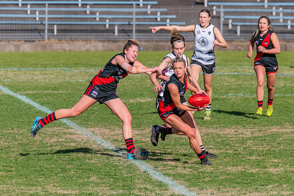 WPD Elimination Final - North Shore v Inner West - 7 August 2022