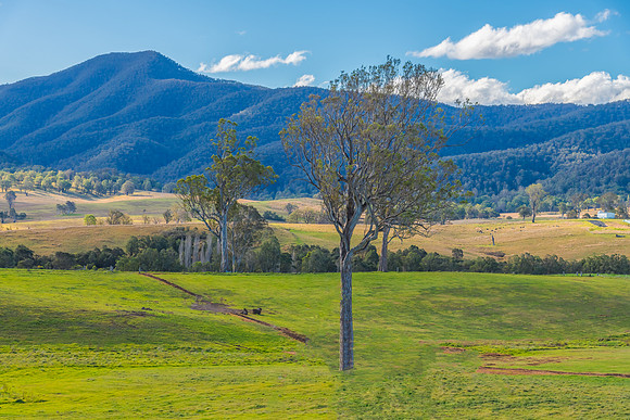 Road trippin through the Monaro Region
