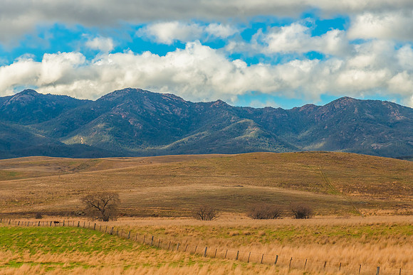 Road trippin through the Monaro Region