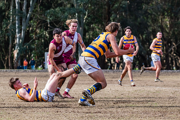 Rd 17 MPD - Manly Warringah v Sydney Uni - 16 August 2025