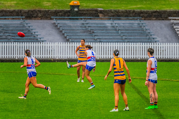 Rd 8 WPD - UNSW-ES v Sydney Uni - 1 June 2024
